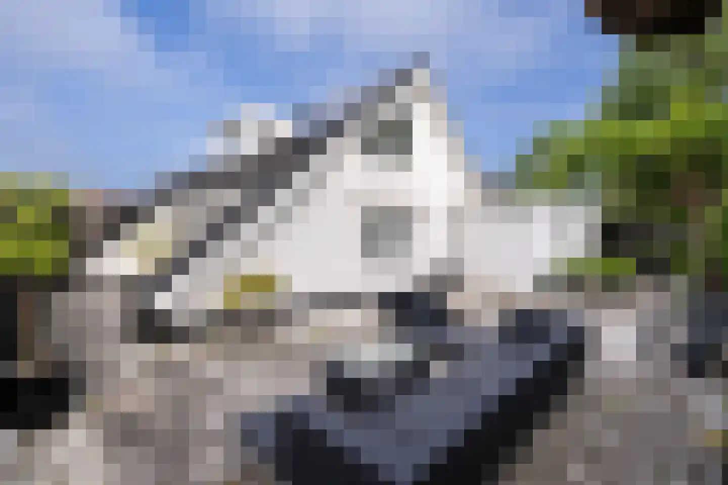Pretoriuslaan 9 Ouddorp thumbnail 26