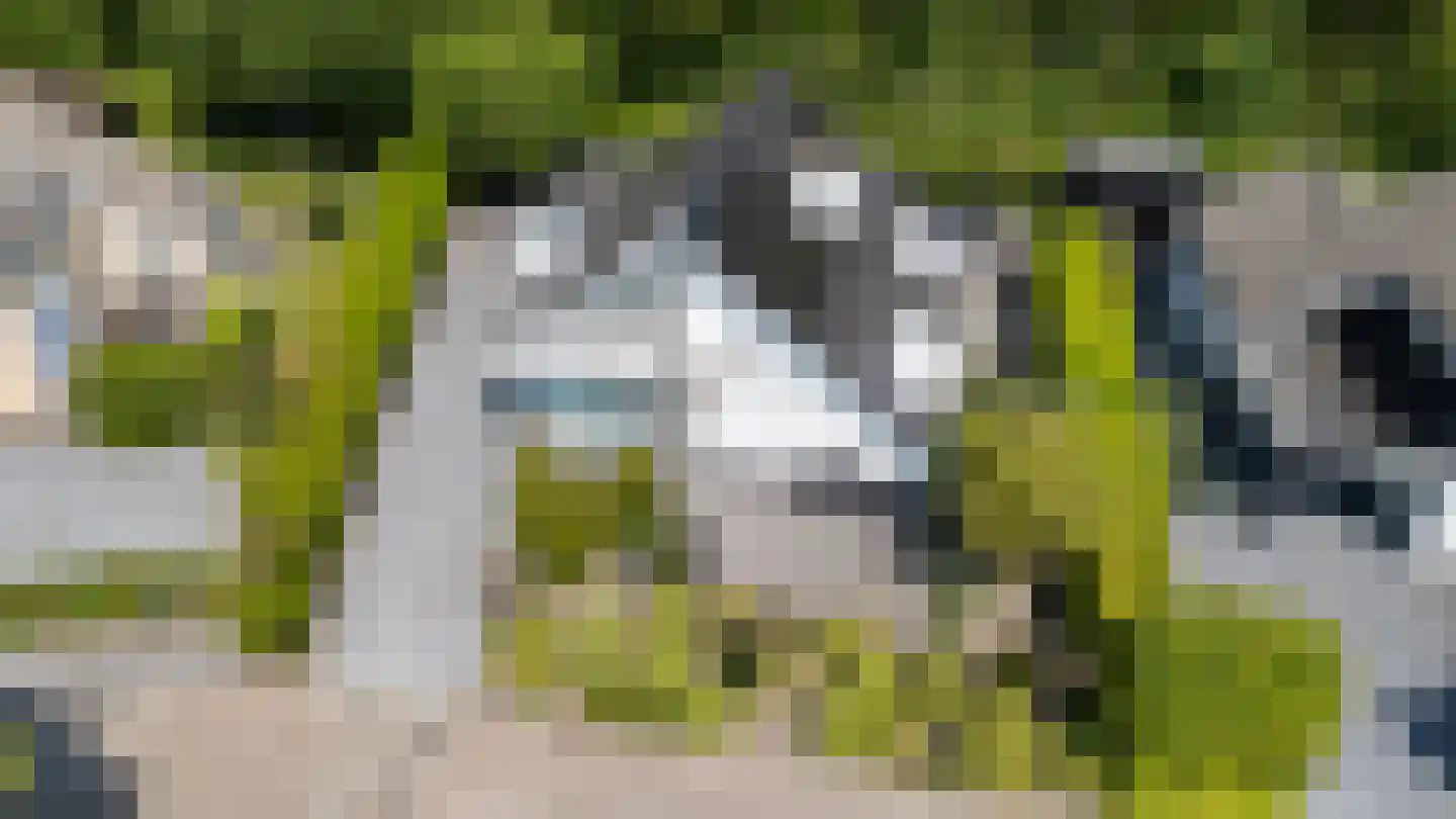 Pretoriuslaan 9 Ouddorp thumbnail 36