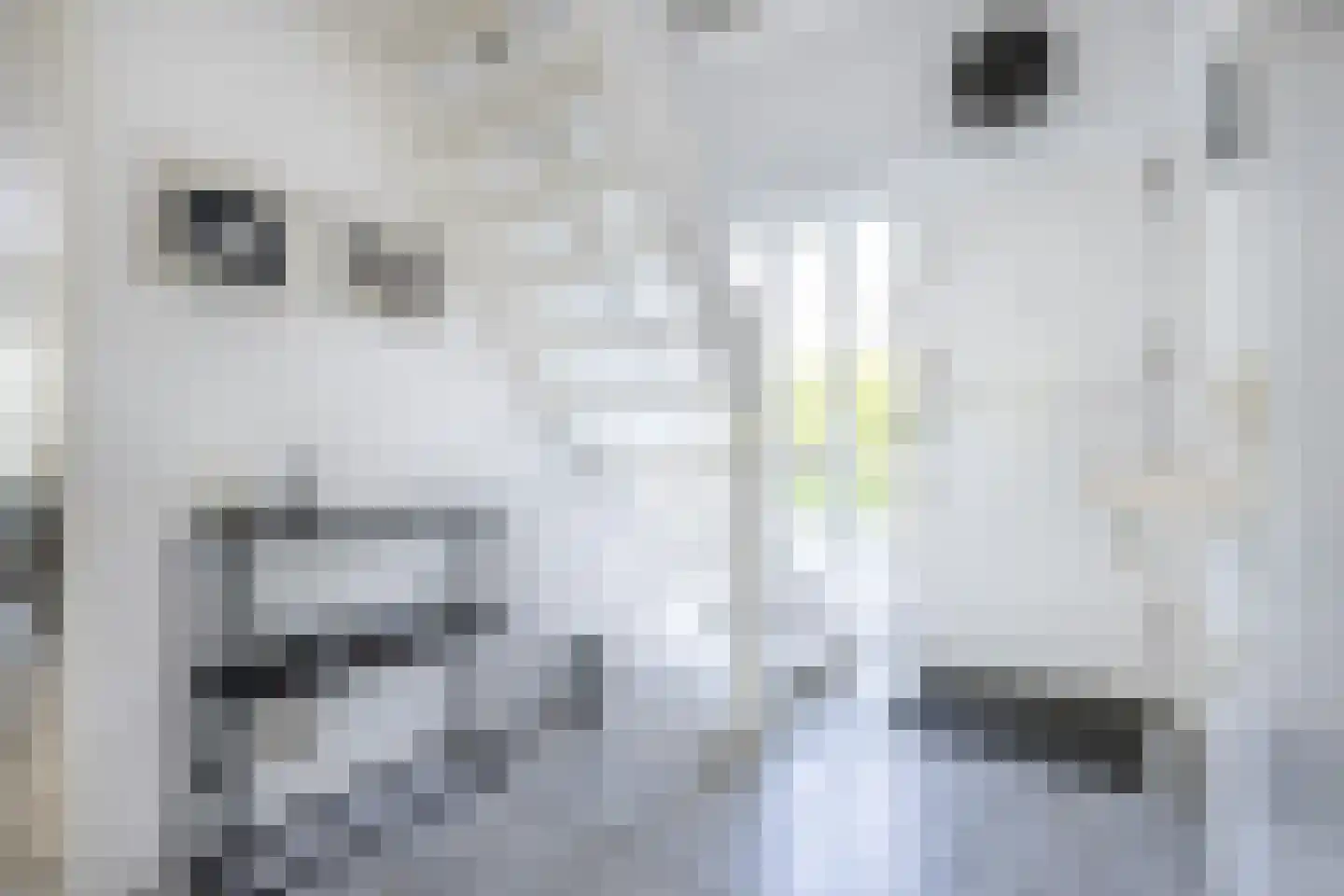Pretoriuslaan 9 Ouddorp thumbnail 5