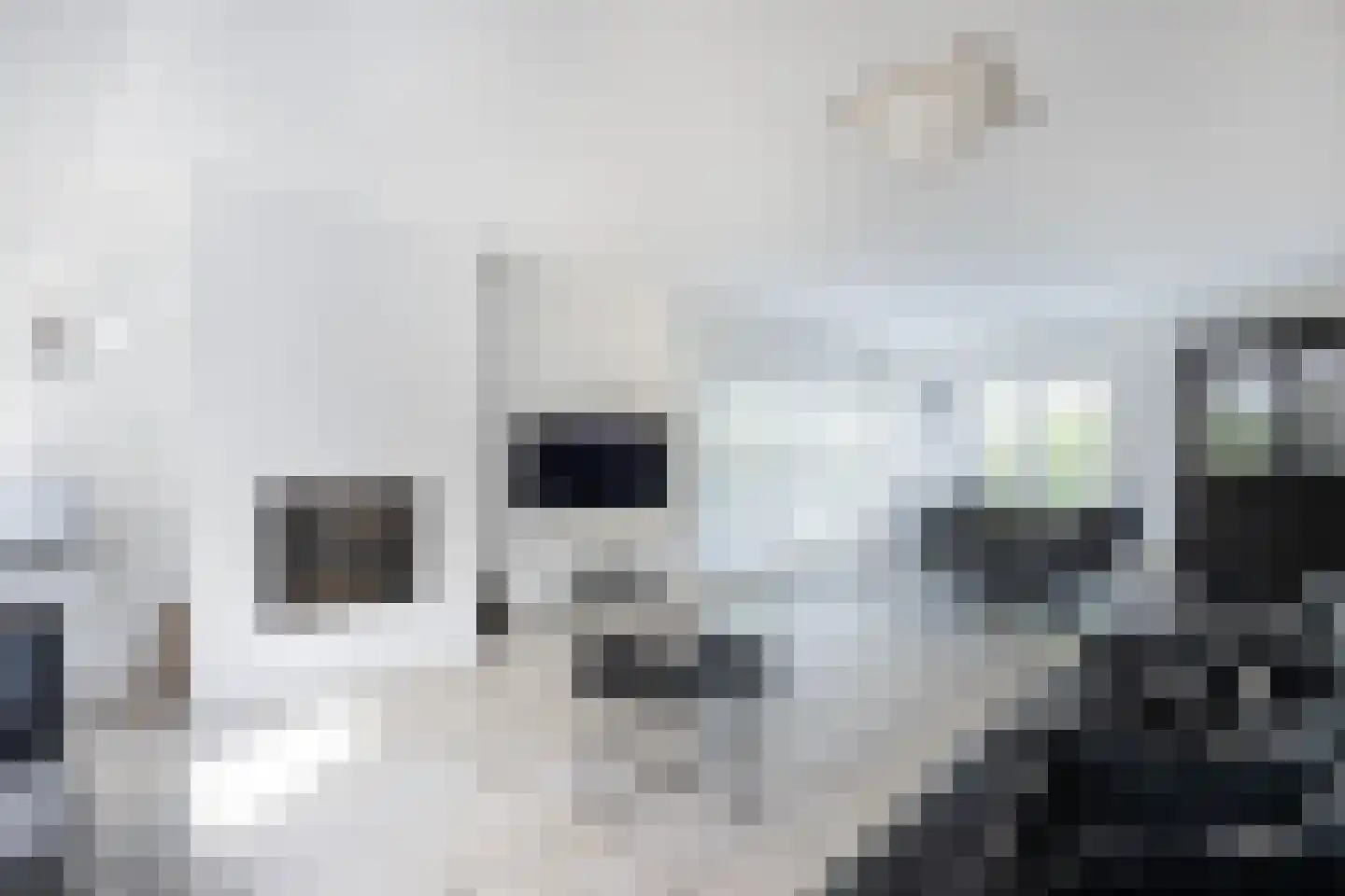 Pretoriuslaan 9 Ouddorp thumbnail 6