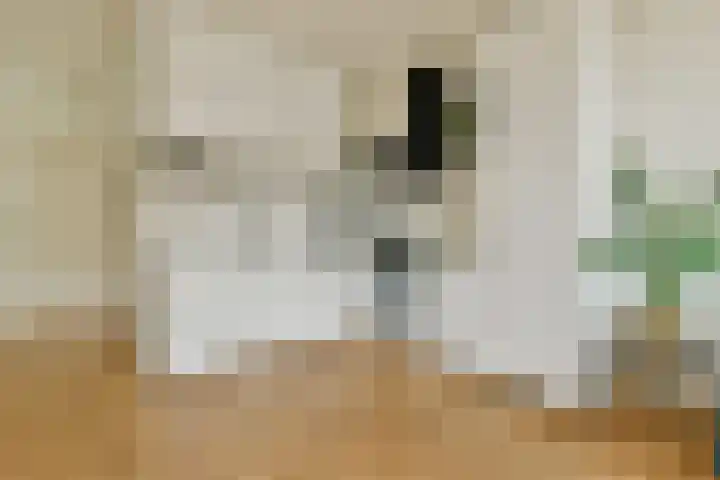 Pretoriusstraat 22 2 Amsterdam thumbnail 12