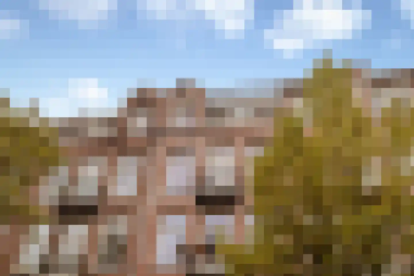 Pretoriusstraat 22 4 Amsterdam thumbnail 30