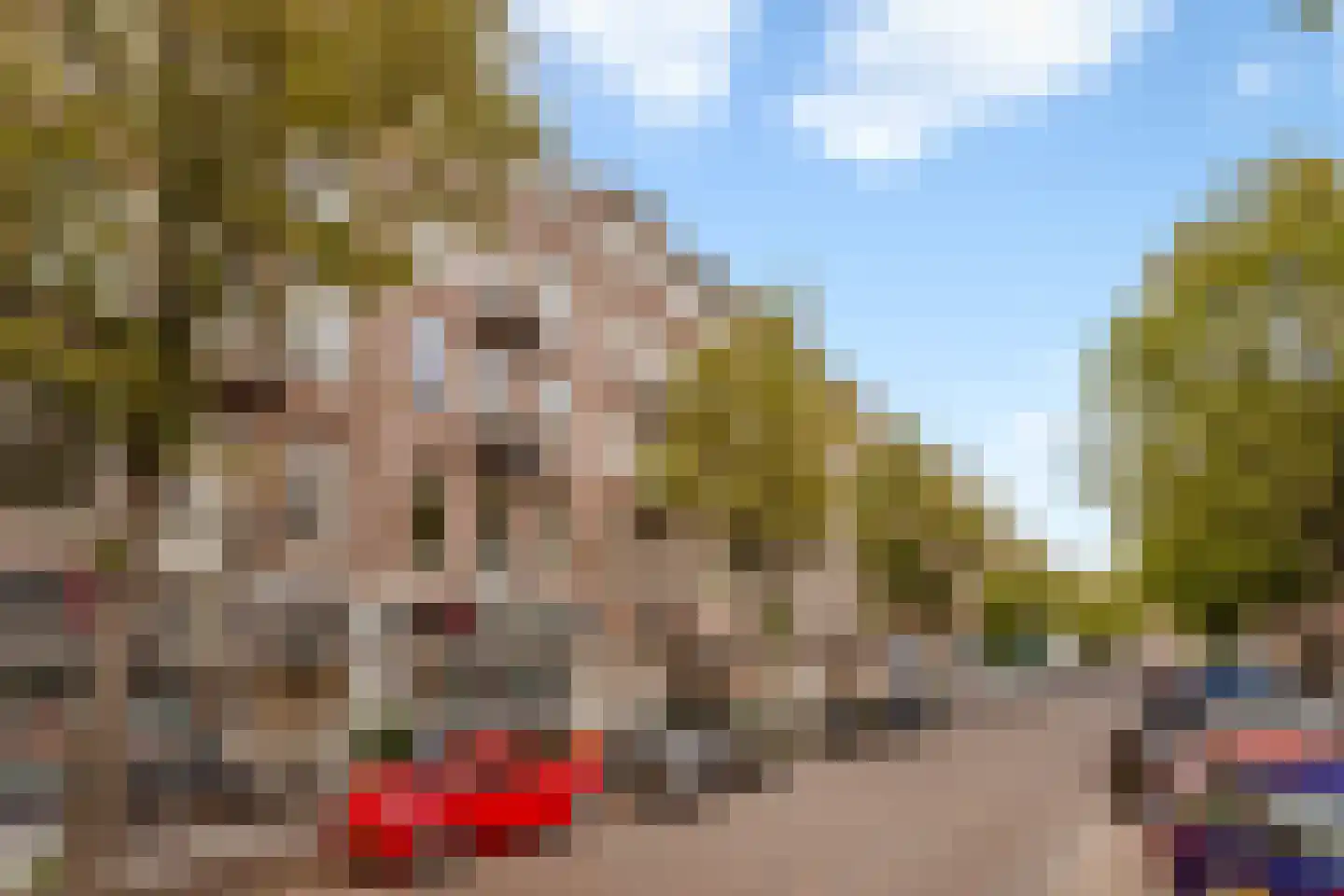 Pretoriusstraat 22 4 Amsterdam thumbnail 31