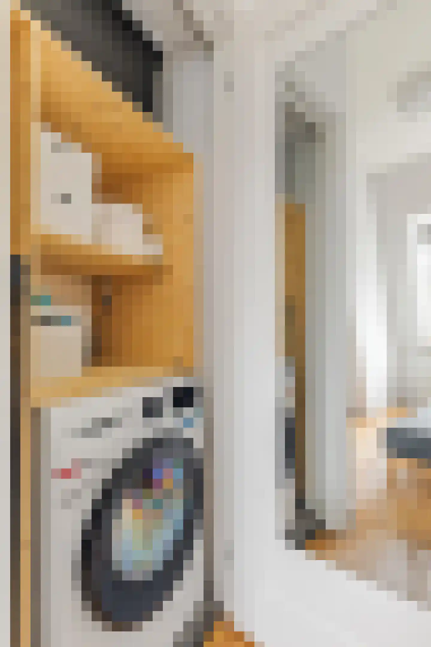 Pretoriusstraat 25 4 Amsterdam thumbnail 17