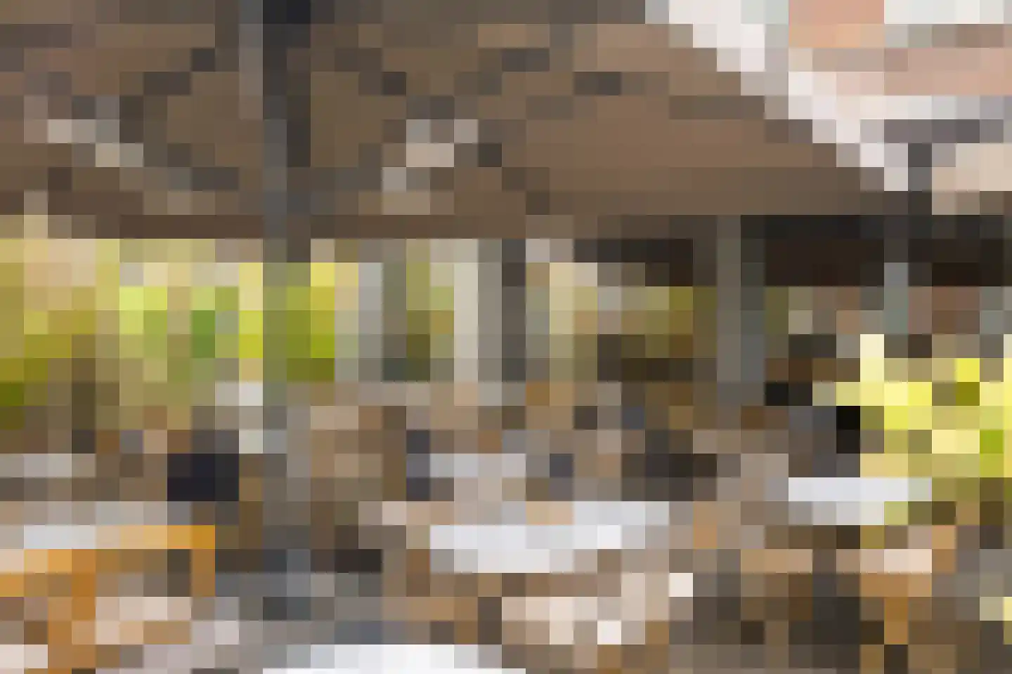 Pretoriusstraat 25 4 Amsterdam thumbnail 24