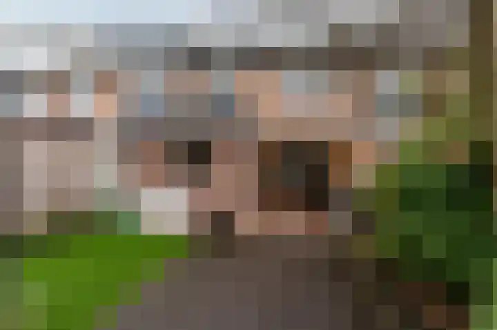 Pretoriusstraat 36 Ermelo thumbnail 46