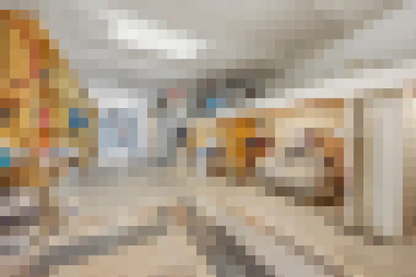 Pretoriusstraat 40 Den Haag thumbnail 7