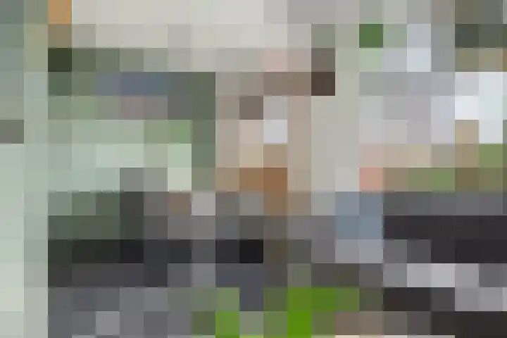Pretoriusstraat 44 Ridderkerk thumbnail 10