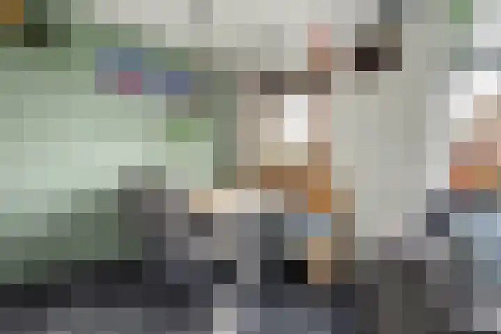 Pretoriusstraat 44 Ridderkerk thumbnail 11