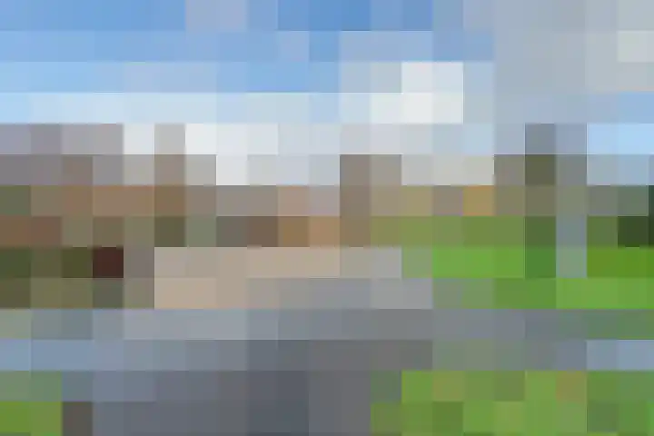 Pretoriusstraat 44 Ridderkerk thumbnail 30