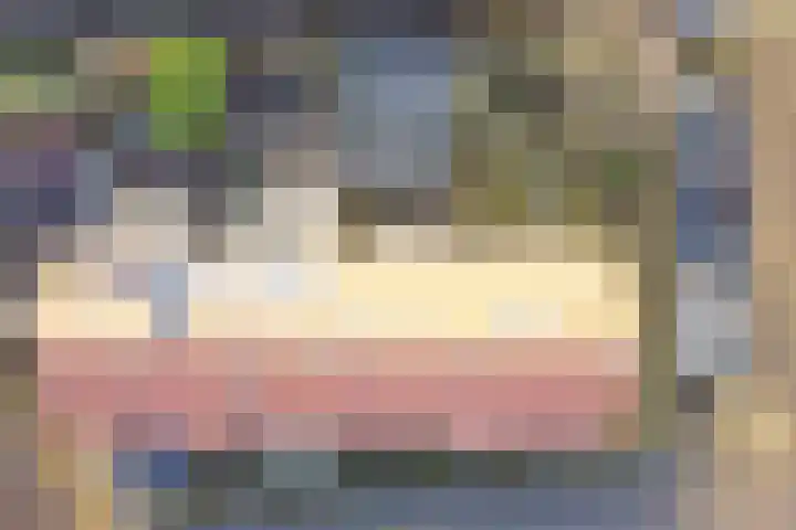 Pretoriusstraat 44 Ridderkerk thumbnail 31