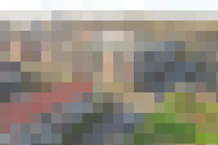 Pretoriusstraat 44 Ridderkerk thumbnail 33
