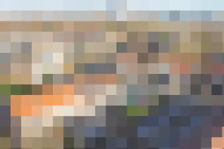 Pretoriusstraat 44 Ridderkerk thumbnail 35