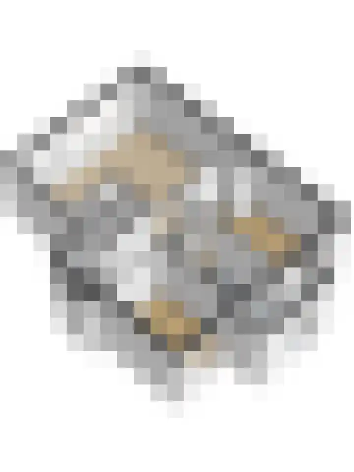 Pretoriusstraat 44 Ridderkerk thumbnail 37