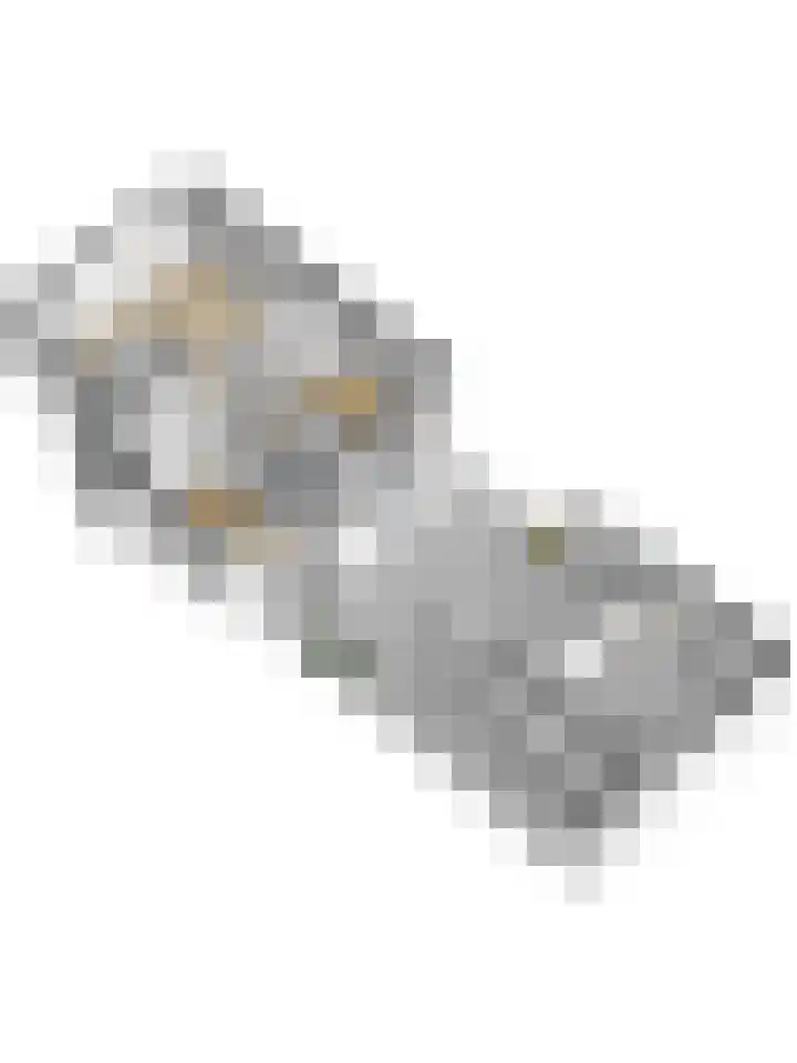 Pretoriusstraat 44 Ridderkerk thumbnail 39