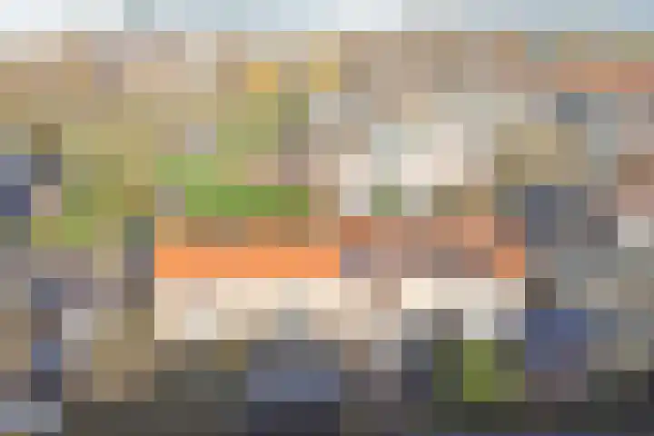 Pretoriusstraat 44 Ridderkerk thumbnail 4