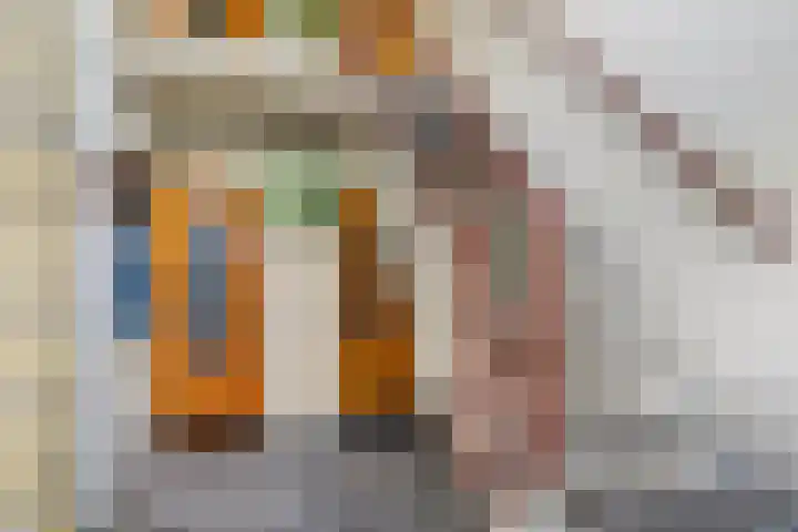 Pretoriusstraat 44 Ridderkerk thumbnail 7