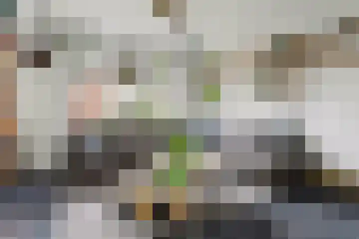 Pretoriusstraat 44 Ridderkerk thumbnail 9