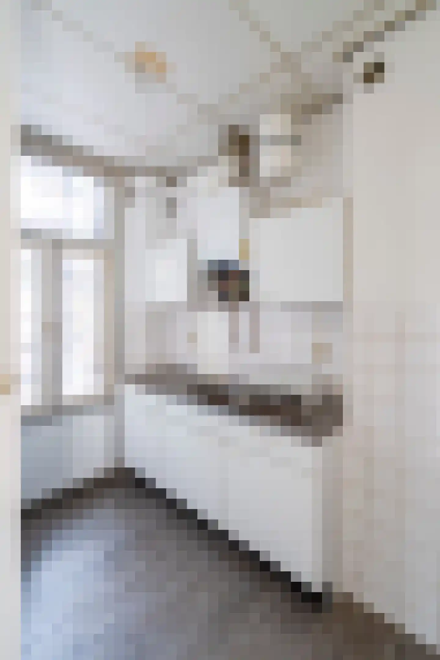 Pretoriusstraat 49 2 Amsterdam thumbnail 12