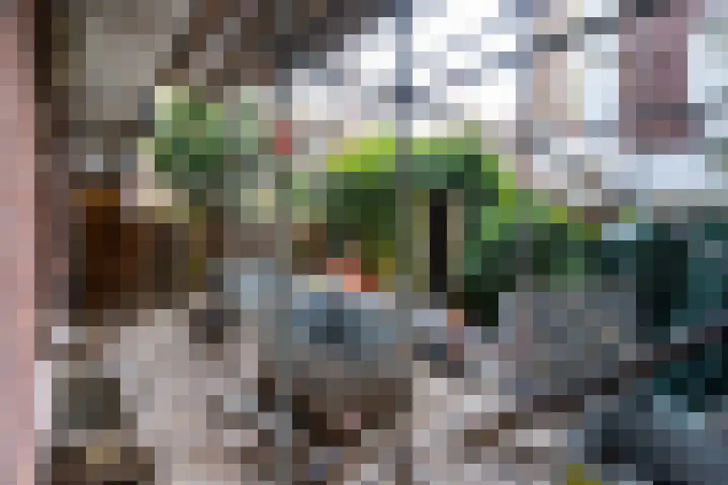 Pretoriusstraat 49 3 Amsterdam thumbnail 15