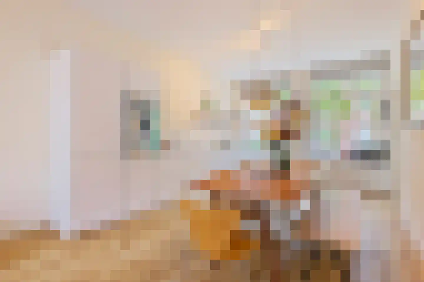 Pretoriusstraat 54 A Amsterdam thumbnail 30