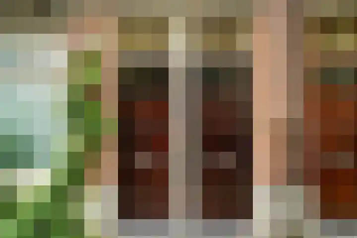 Pretoriusstraat 56 2V Amsterdam thumbnail 4
