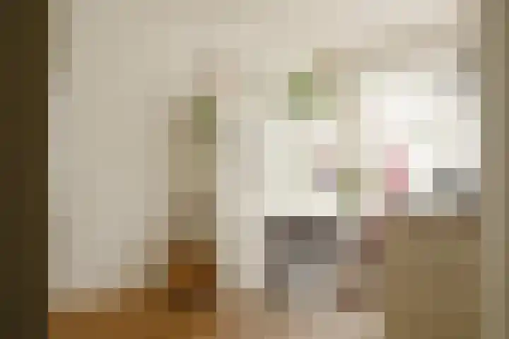 Pretoriusstraat 56 2V Amsterdam thumbnail 9