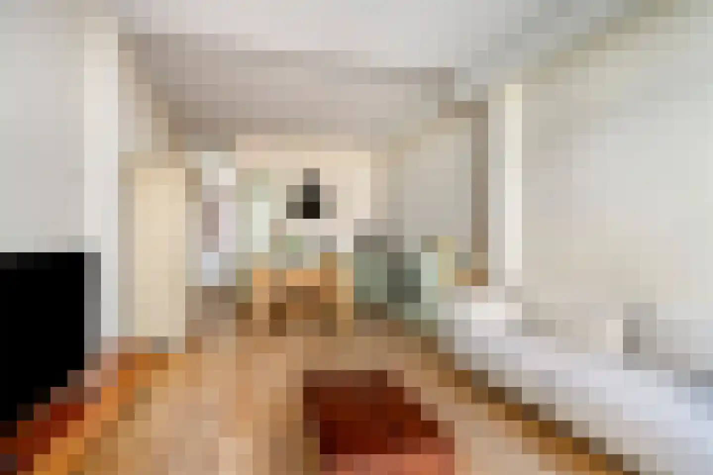Pretoriusstraat 56 HV Amsterdam thumbnail 10