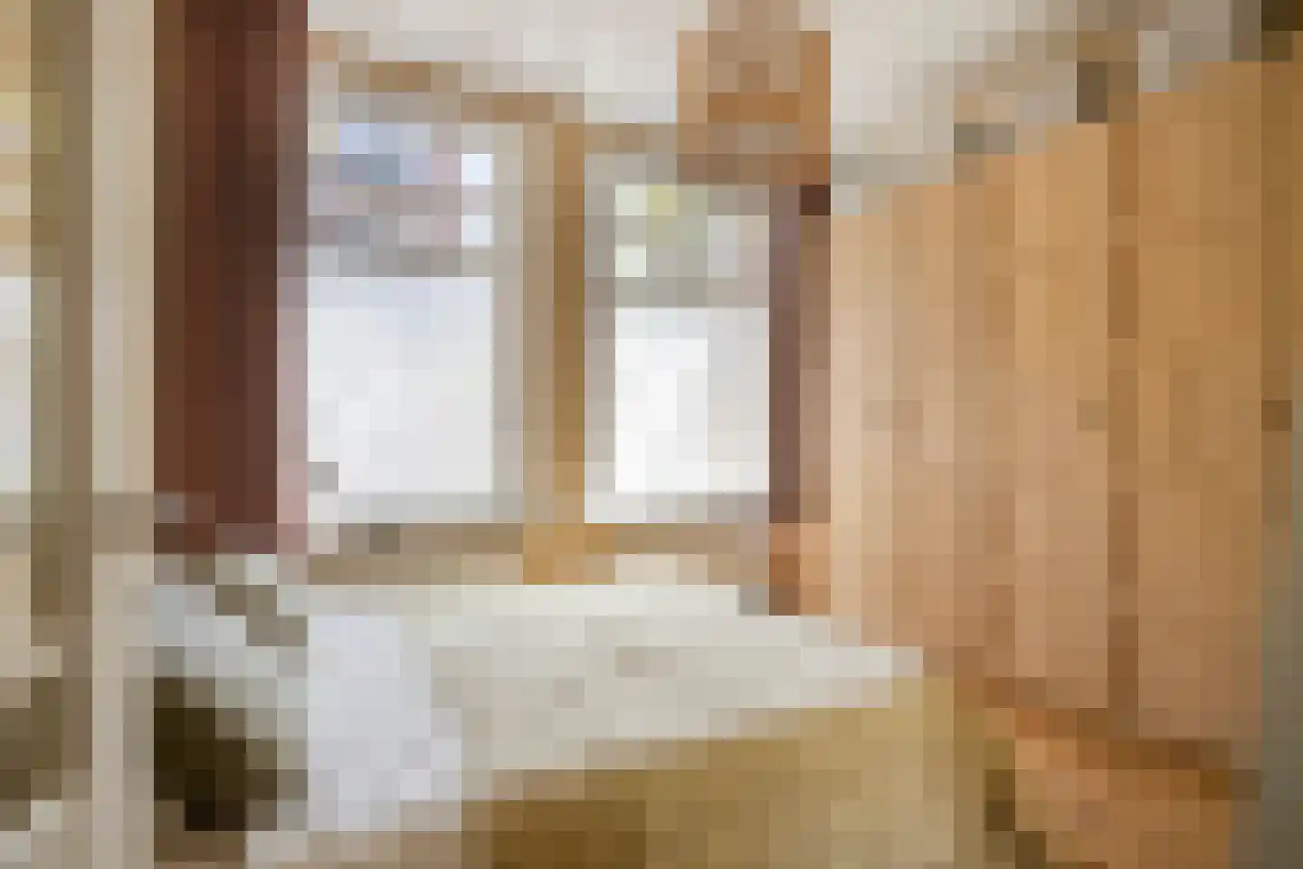 Pretoriusstraat 56 HV Amsterdam thumbnail 25