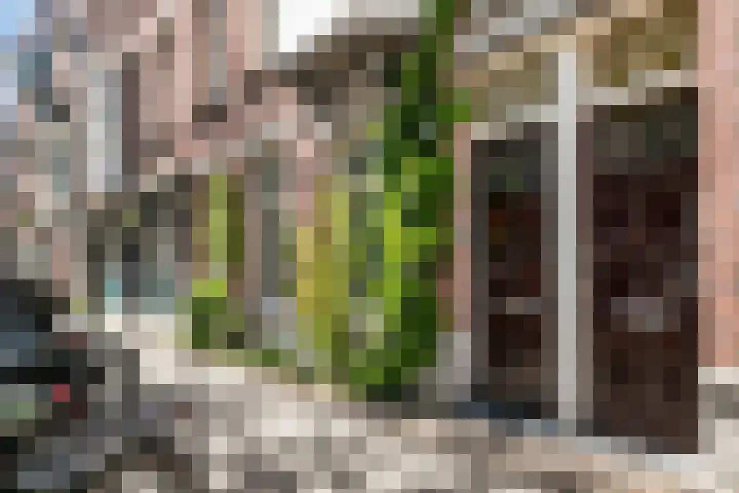 Pretoriusstraat 56 HV Amsterdam thumbnail 30