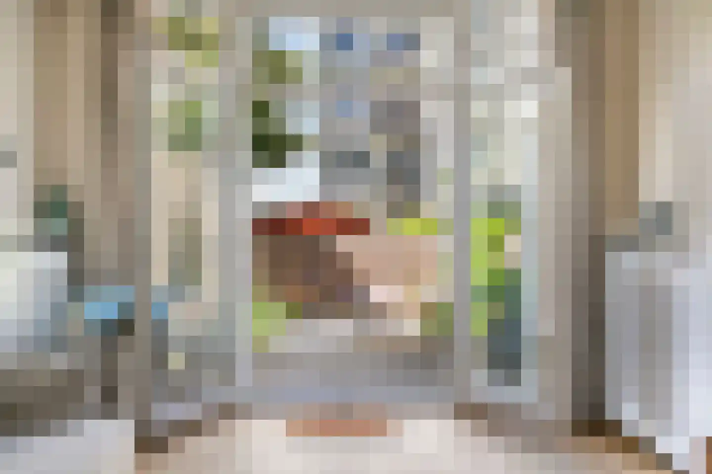 Pretoriusstraat 56 HV Amsterdam thumbnail 4