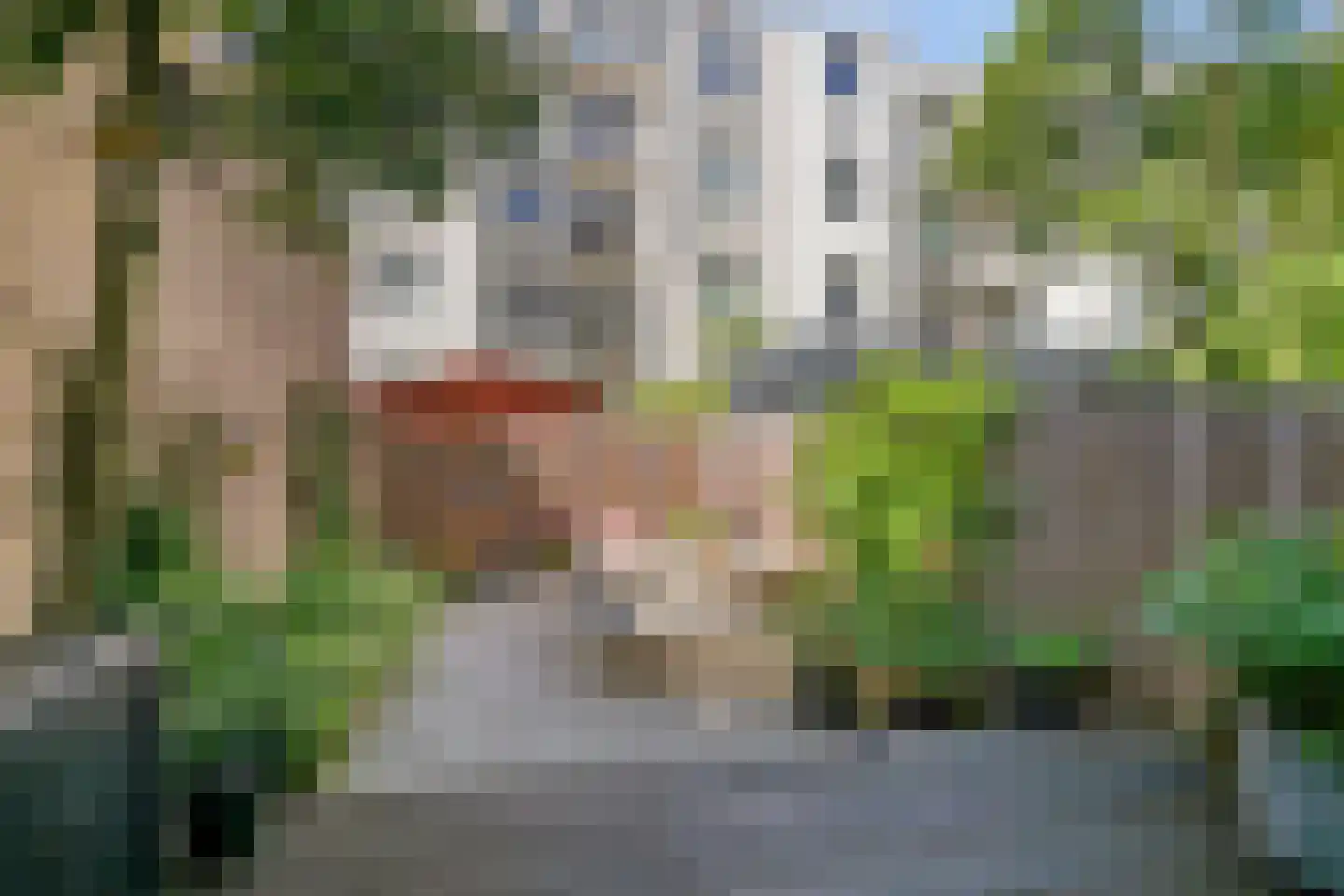 Pretoriusstraat 56 HV Amsterdam thumbnail 5