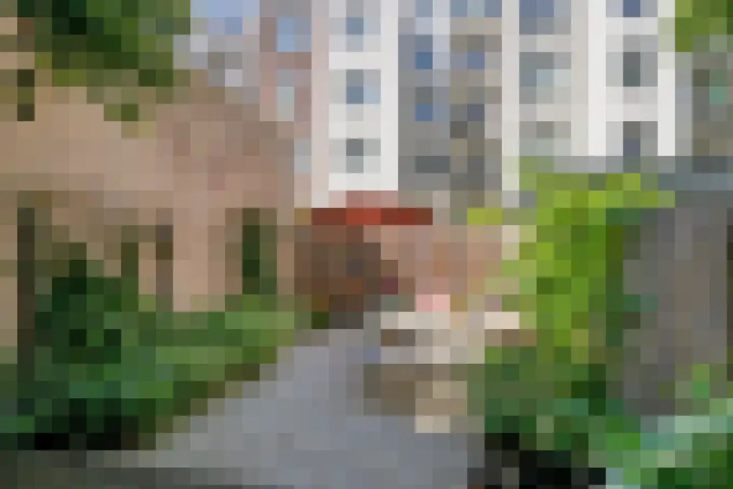Pretoriusstraat 56 HV Amsterdam thumbnail 6