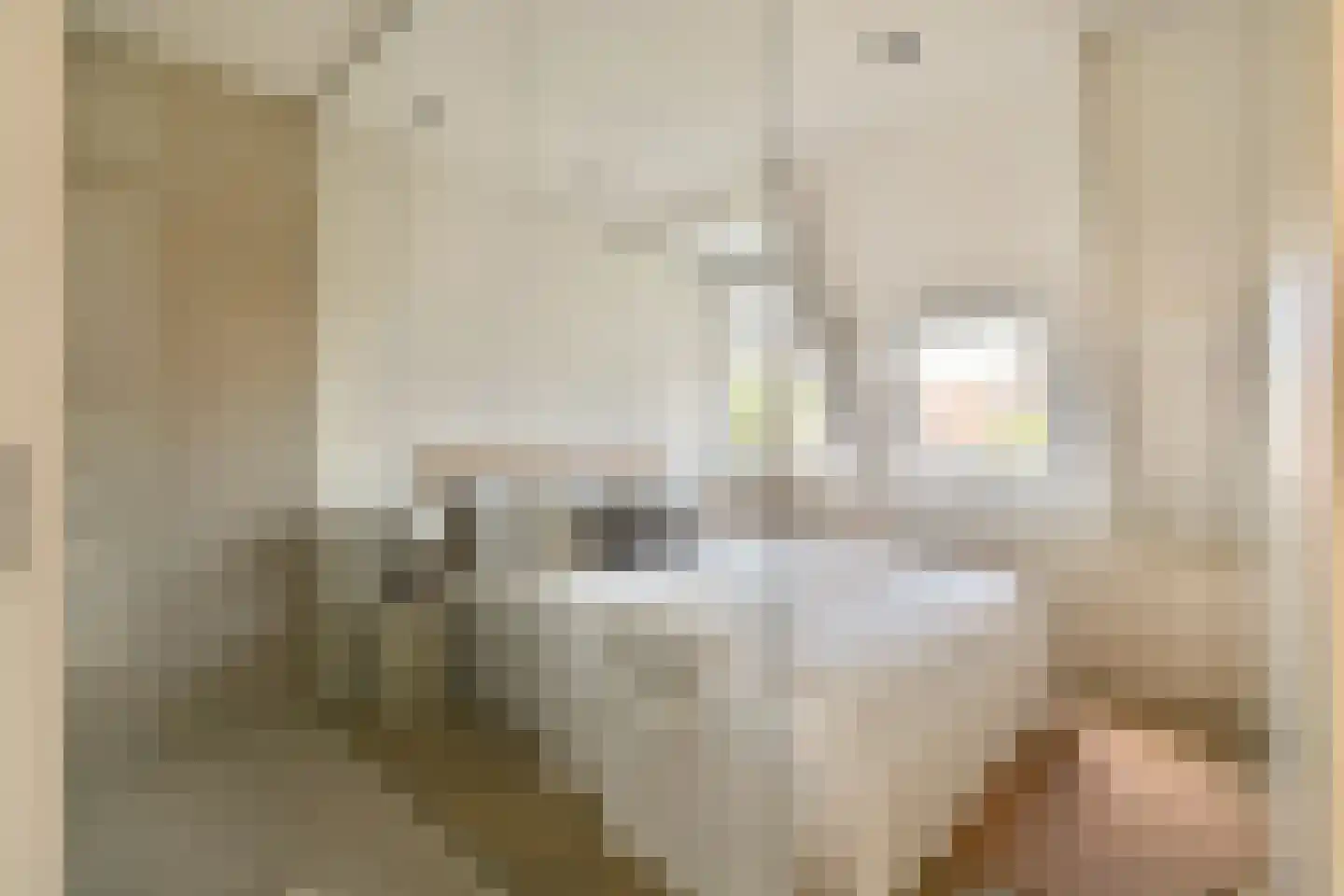 Pretoriusstraat 57 4 Amsterdam thumbnail 25