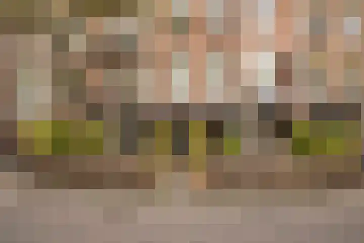 Pretoriusstraat 58 2 Amsterdam thumbnail 35