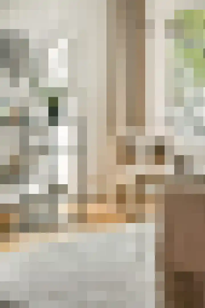 Pretoriusstraat 58 2 Amsterdam thumbnail 5