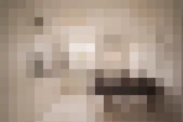 Pretoriusstraat 58 2 Amsterdam thumbnail 7
