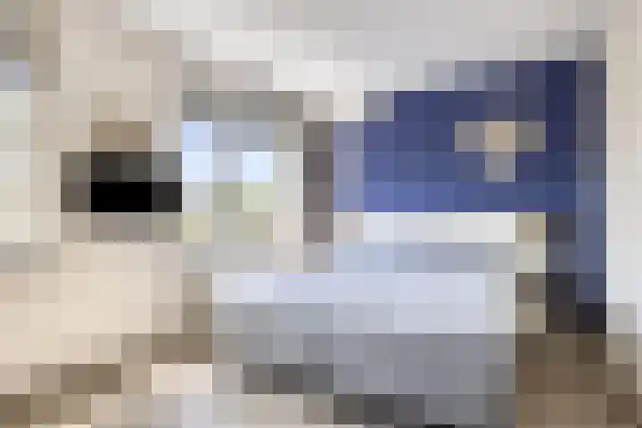 Pretoriusstraat 74 Ridderkerk thumbnail 18