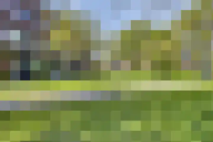 Pretoriusstraat 74 Ridderkerk thumbnail 37