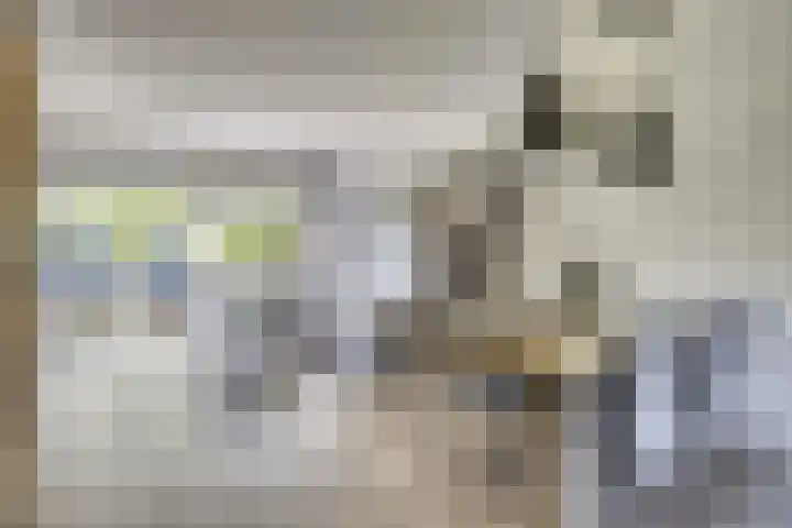 Pretoriusstraat 74 Ridderkerk thumbnail 9