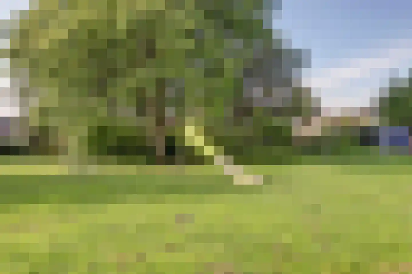 Pretoriusstraat 82 Ridderkerk thumbnail 37