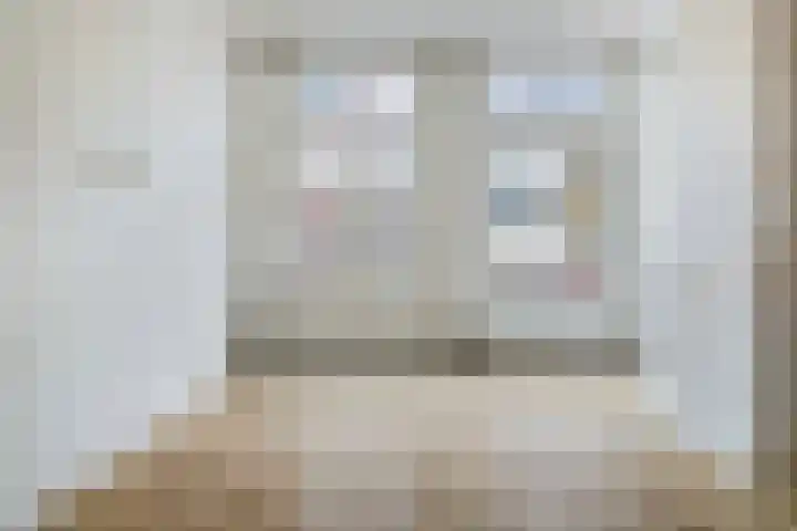 Pretoriusstraat 94 3 Amsterdam thumbnail 9