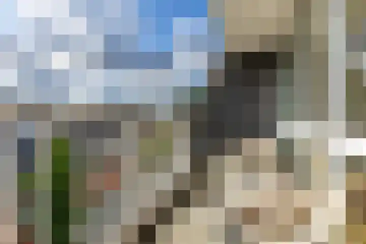 Prévinairestraat 114 Haarlem thumbnail 12