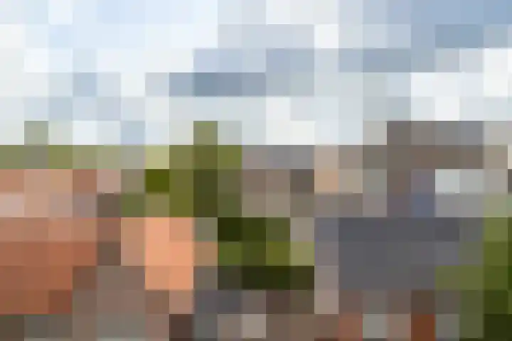 Prévinairestraat 114 Haarlem thumbnail 13