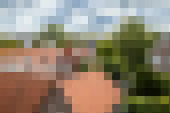 Prévinairestraat 114 Haarlem thumbnail 15
