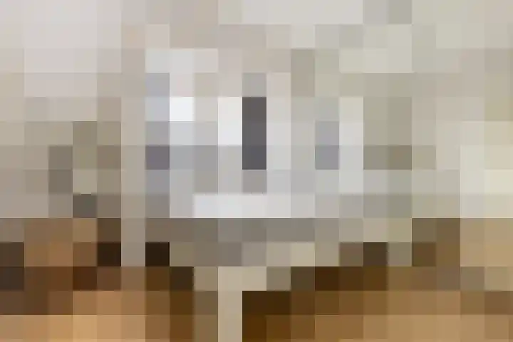 Prévinairestraat 114 Haarlem thumbnail 20
