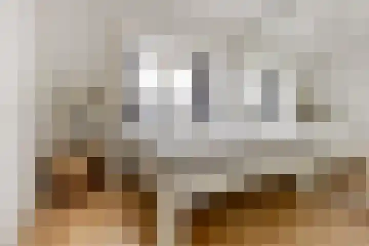 Prévinairestraat 114 Haarlem thumbnail 21
