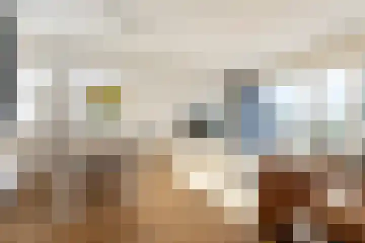 Prévinairestraat 114 Haarlem thumbnail 5