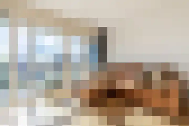 Prévinairestraat 114 Haarlem thumbnail 6