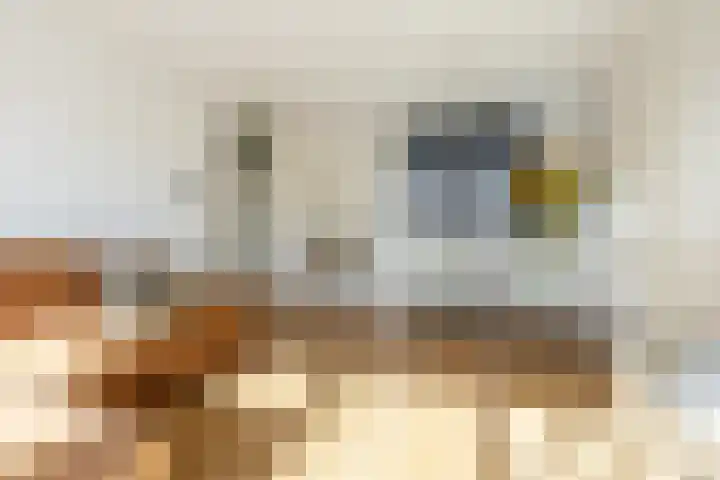 Prévinairestraat 114 Haarlem thumbnail 9